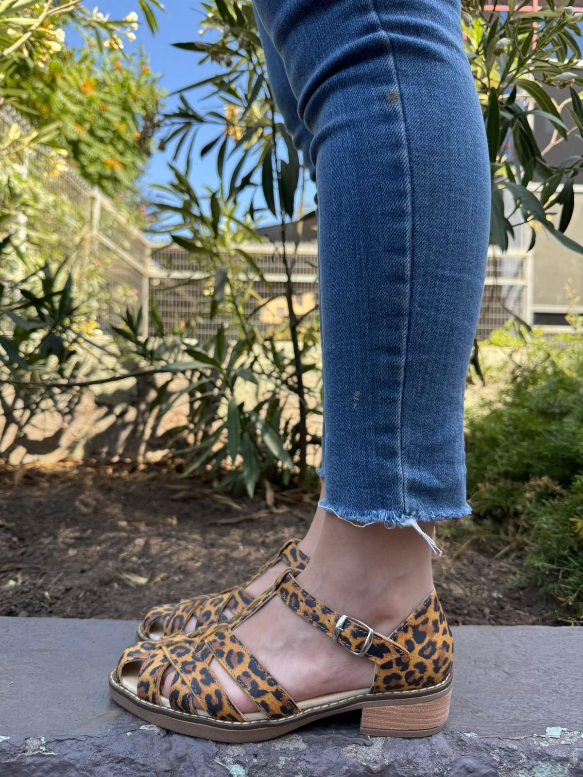 Hematita Baja Animal Print